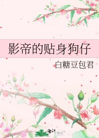 影帝的贴身狗仔
