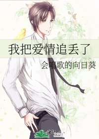我把爱情追丢了