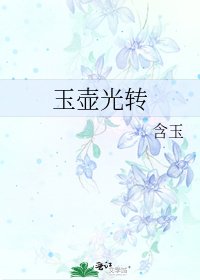 玉壶光转