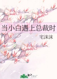 当小白遇上总裁时