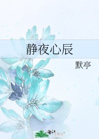 静夜心辰