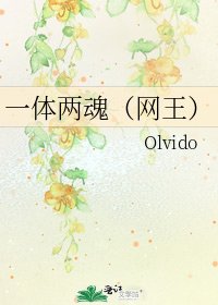 一体两魂(网王)