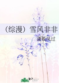 (综漫)雪风非非