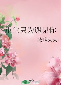重生只为遇见你