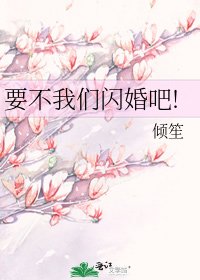 要不我们闪婚吧!