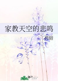 家教天空的悲鸣