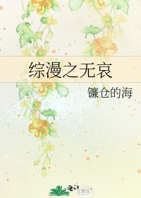 综漫之无哀