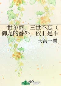 一世参商,三世不忘(御龙的番外,依旧是不那么像番外的番外)