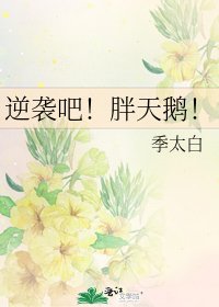 逆袭吧!胖天鹅!