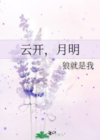 云开,月明