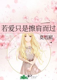 若爱只是擦肩而过