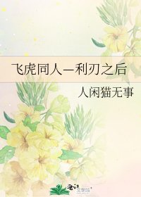 飞虎同人—利刃之后