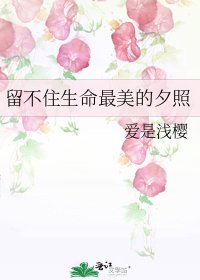 留不住生命最美的夕照