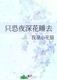 只恐夜深花睡去