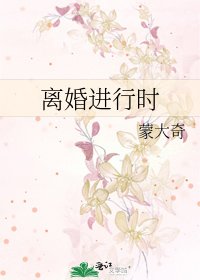 离婚进行时