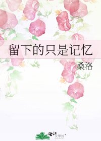 留下的只是记忆