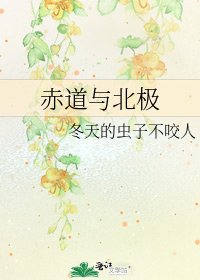 赤道与北极
