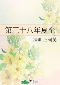 第三十八年夏至