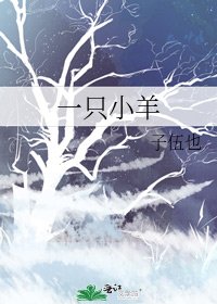一只小羊