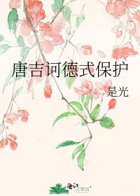 唐吉诃德式保护
