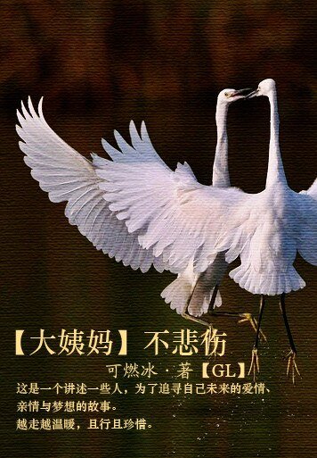 大姨妈不悲伤GL