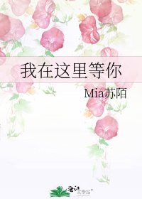 我在这里等你