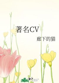 著名CV