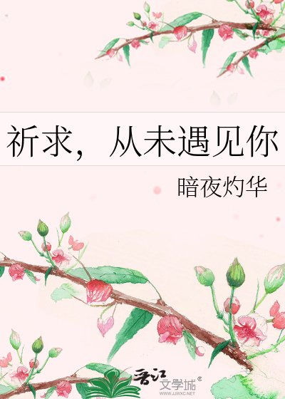 祈求,從未遇見你