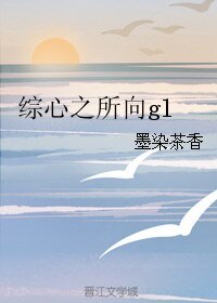 (GL/综同人)综心之所向gl