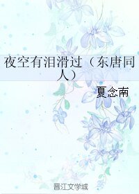 (BL/明星同人)夜空有泪滑过(东唐)