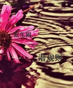 娱乐圈,潜规则