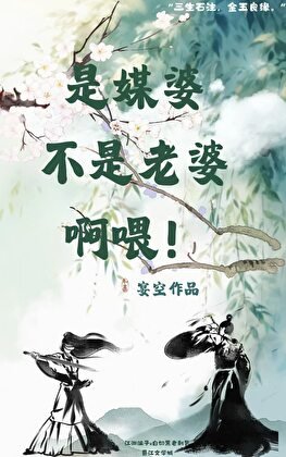 是媒婆不是老婆啊喂!