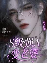 S级强A变老婆,亵渎高岭之花/我老婆是A级禁欲大佬!