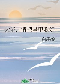 大佬,请把马甲收好