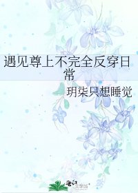 遇見尊上不完全反穿日常