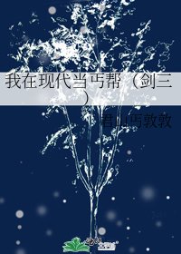 我在现代当丐帮(剑三)