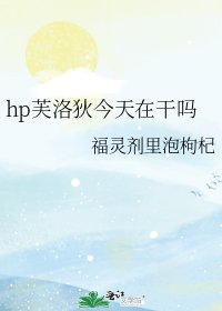 hp芙洛狄今天在干吗