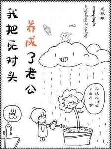 我把伺对头养成了老公