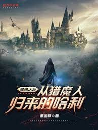 (HP同人)霍格沃茨:从猎魔人归来的哈利