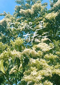 你的眼里有忍天
