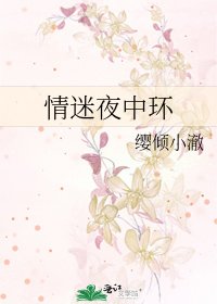 情迷夜中环