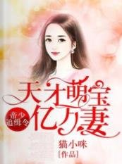 帝少追缉令,天才萌宝亿万妻