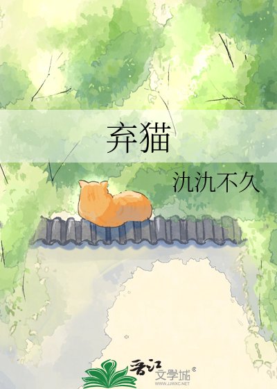 弃猫