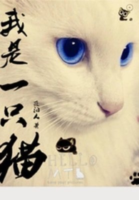 我是一只猫