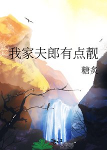 我家夫郎有点靓