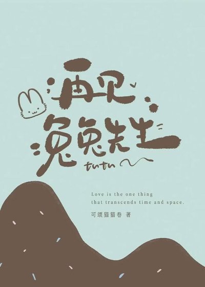 再见,兔兔先生