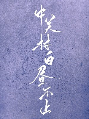 中关村百昼不止