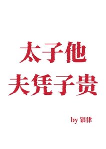 太子他夫凭子贵
