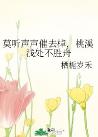 莫听声声催去棹,桃溪浅处不胜舟