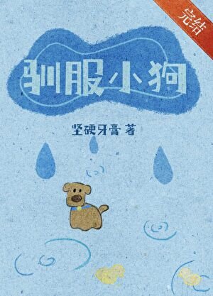 驯服小狗